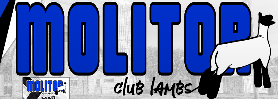 Molitor Club Lambs