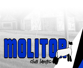 Molitor Club Lambs