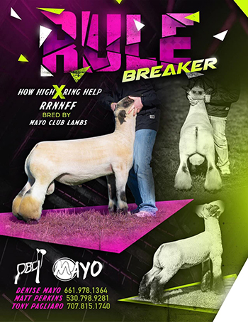 Rule Breaker