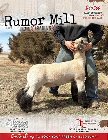 Rumor Mill