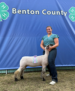 Reserve champion wether dam Benton county 4-h