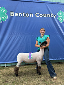 Champion market lamb
Benton county 4-h