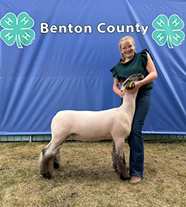 Reserve champion market lamb
Benton county 4-h